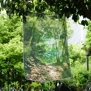 포레스트 숲 풍경 패브릭 포스터 가리개커튼 100*150